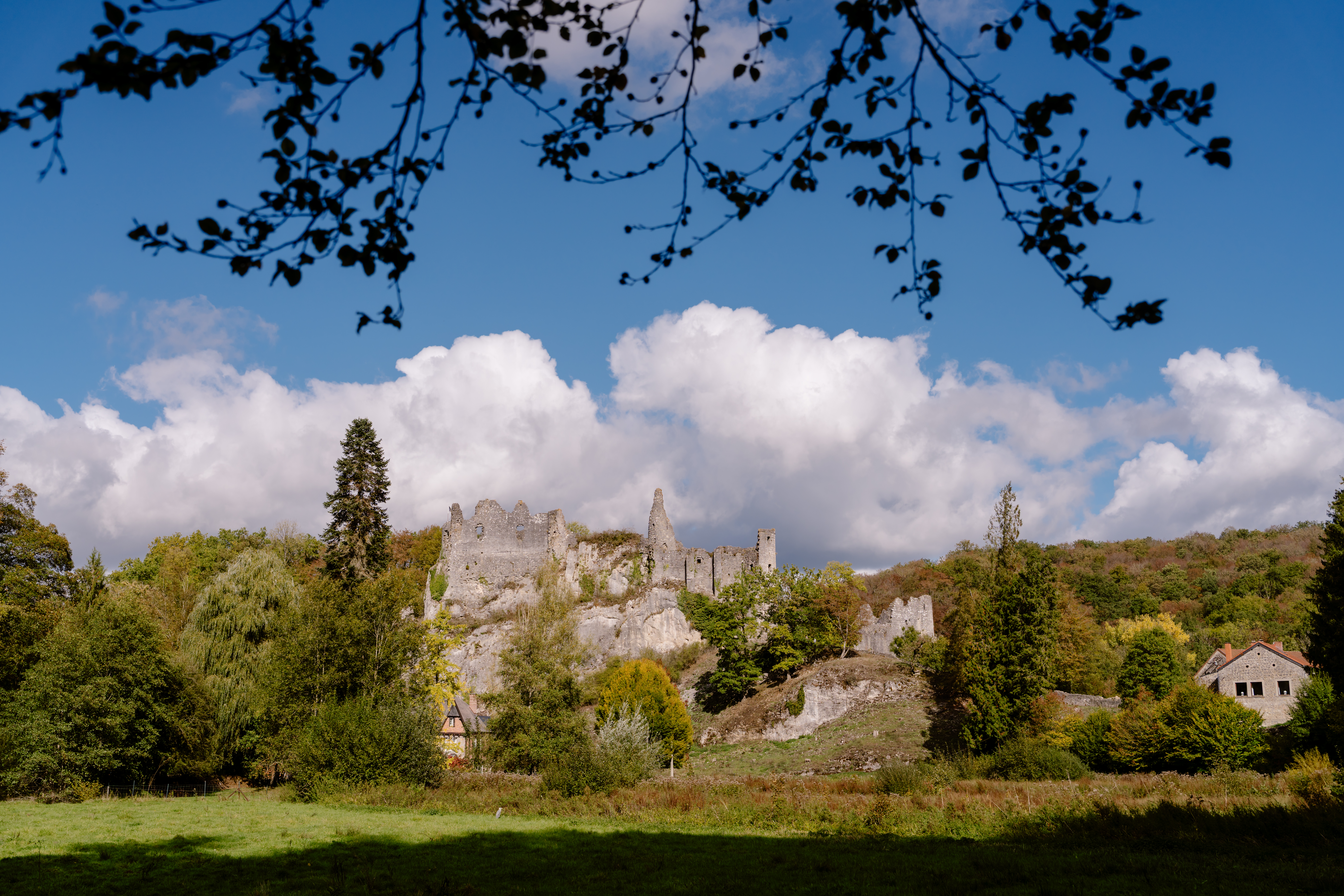 Ruines de Montaigle
