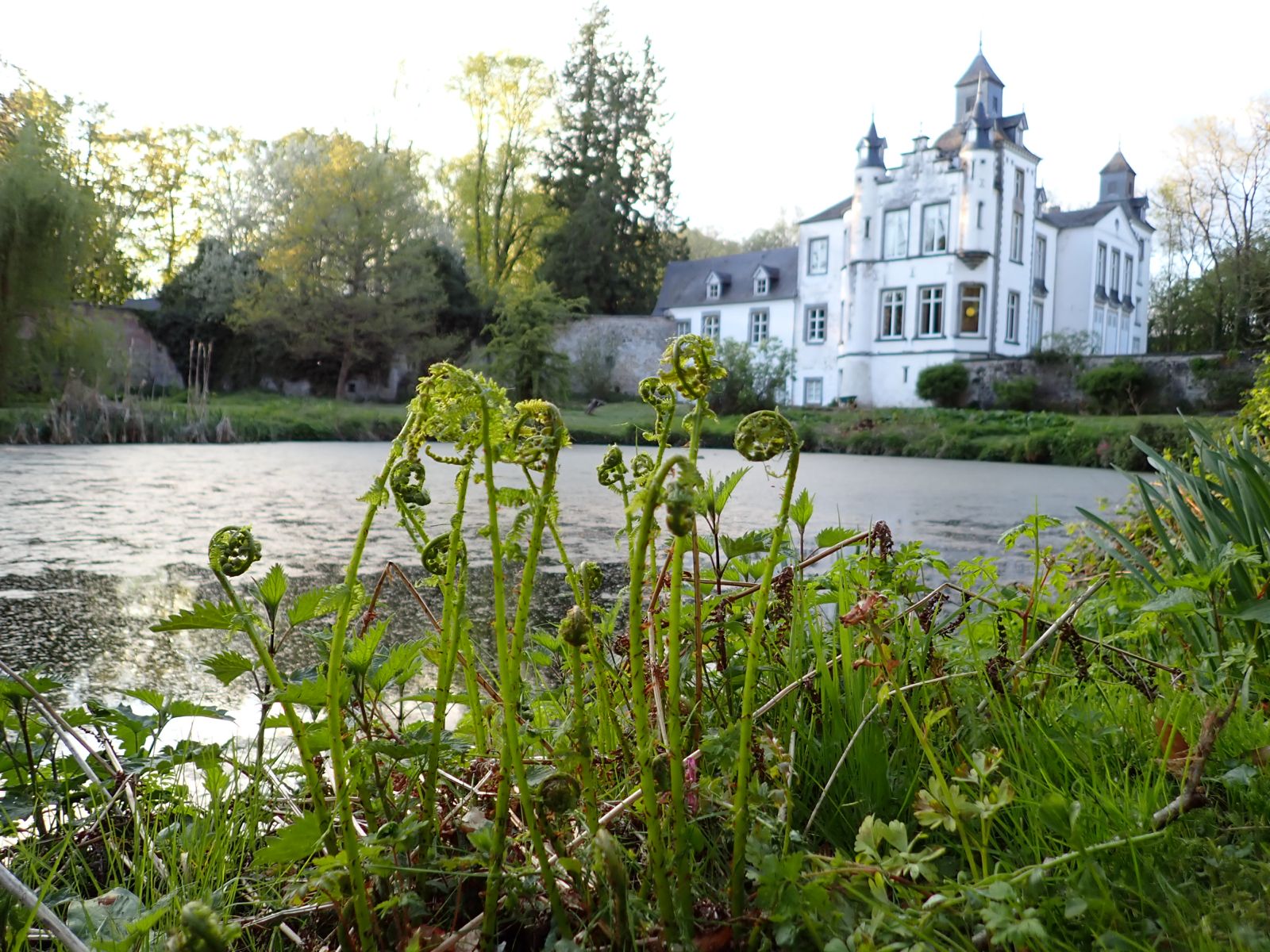 Château de Thozée